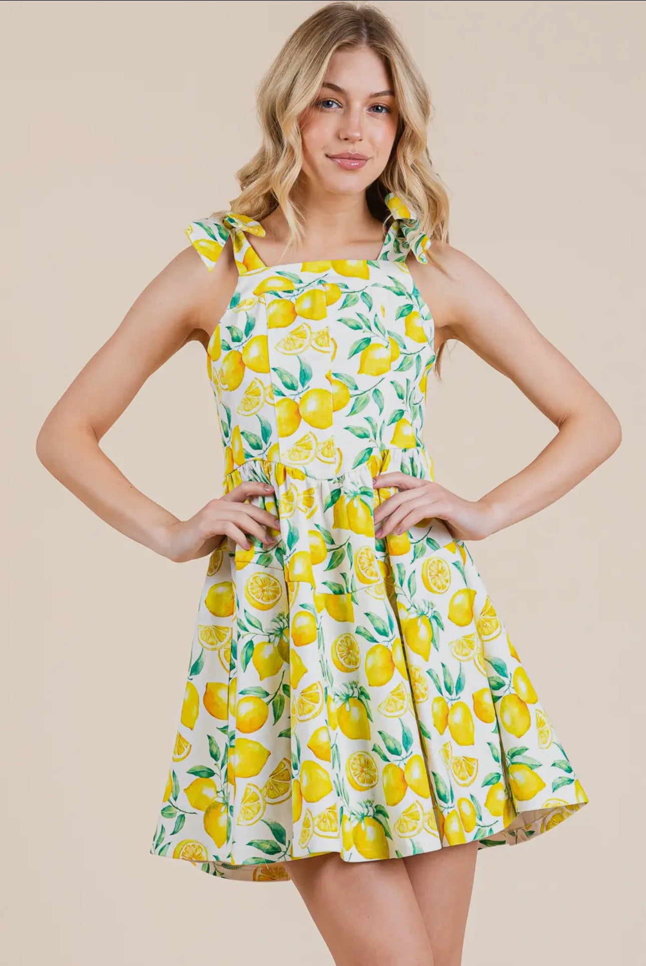Love & Lemons Denim Sundress
