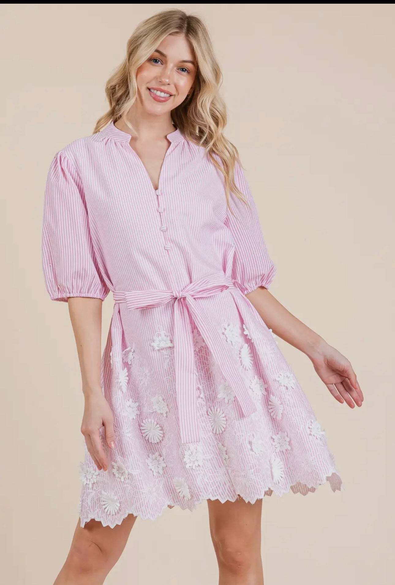 Striped Floral Embroidered Mini Dress - Pink/White