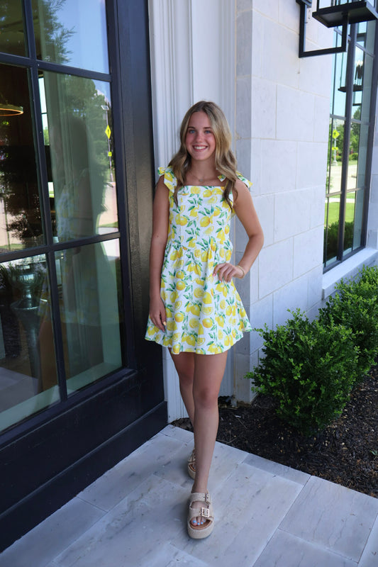 Love & Lemons Denim Sundress