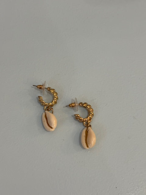 Conch shell Earrings
