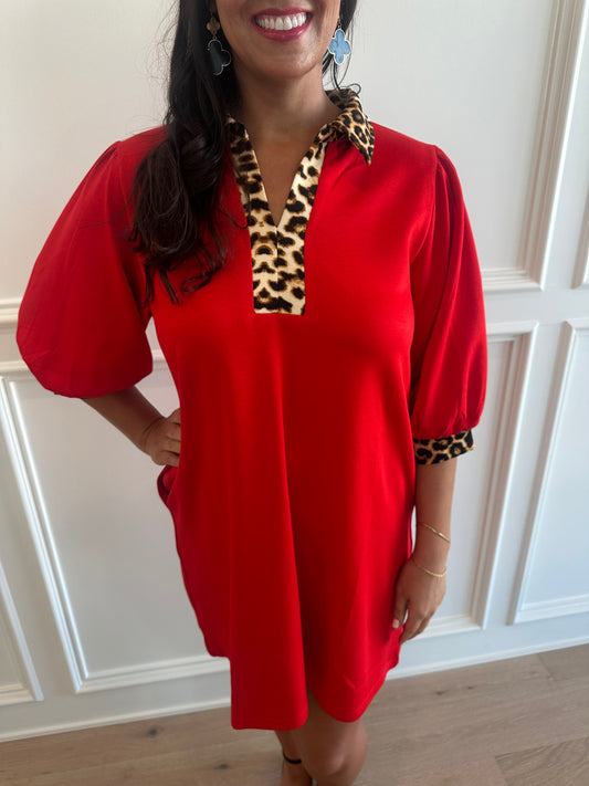 Leopard Trimmed Mini Dress